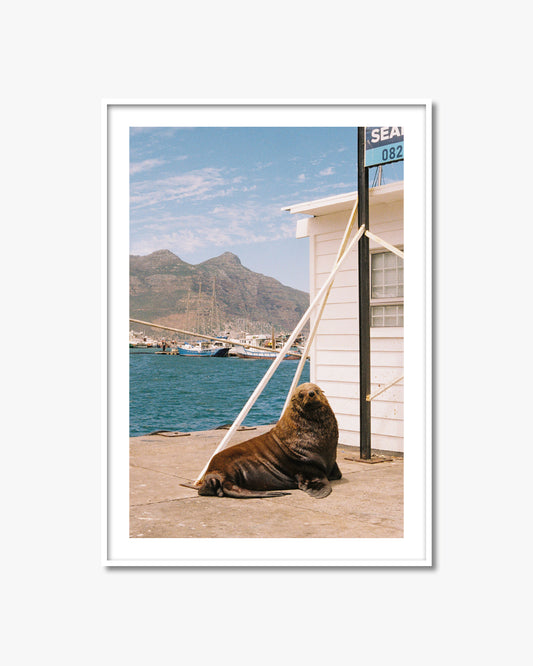 SEAL