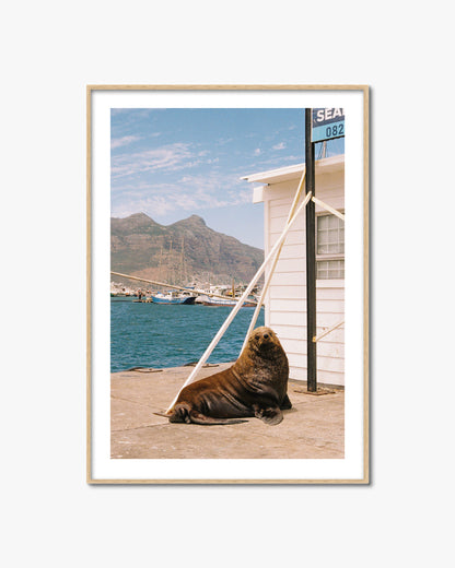 SEAL