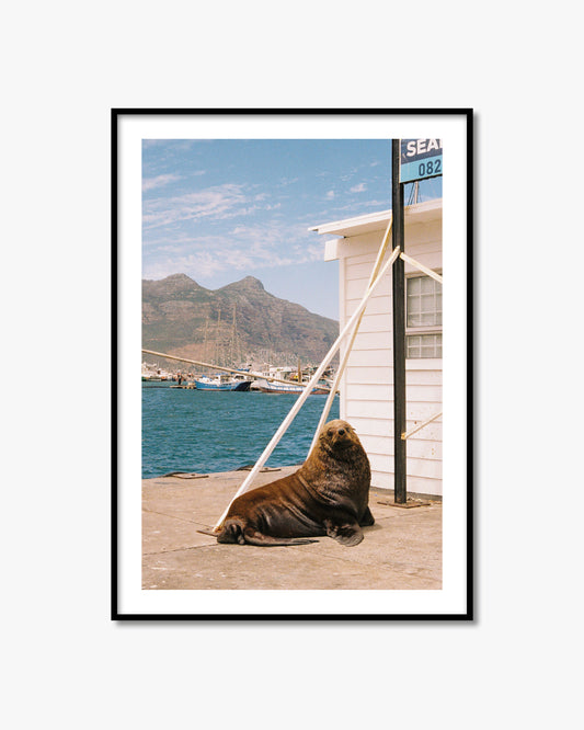 SEAL
