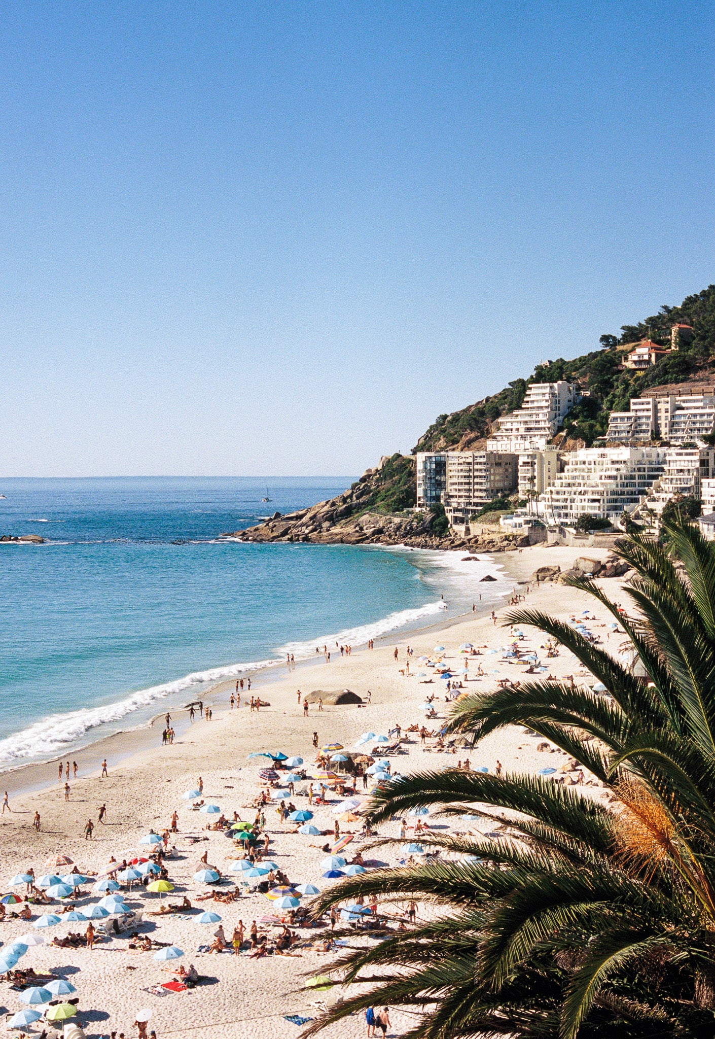 Beach scene with people, umbrellas, and palm trees on a sunny day.