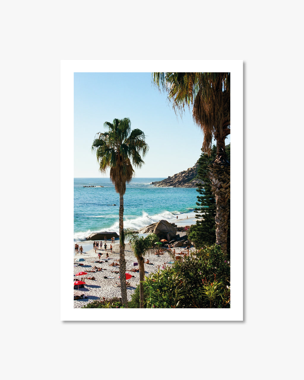 Palm fine art photography print of Clifton Beach, Cape Town shot on 35mm film.