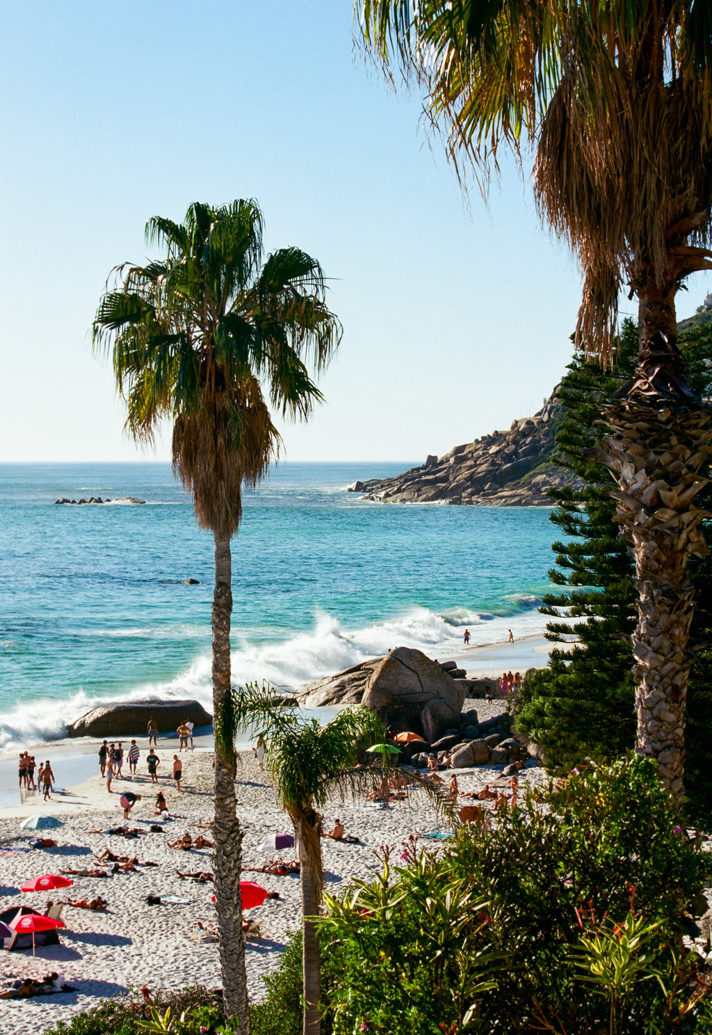 Beach scene with palm trees and people enjoying the sun.